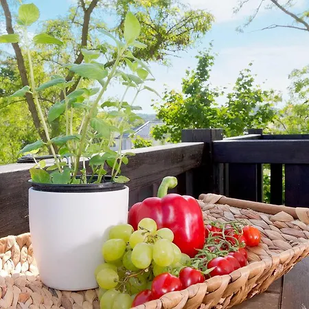 酒店 Ahbecker Hohe - Bergstrasse 塞巴特黑灵斯多夫